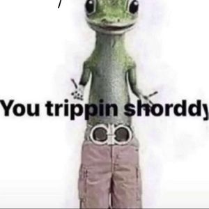 Meet your Posher, Micah